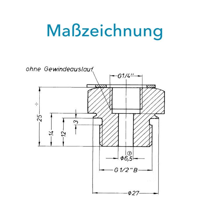 Sensus Kombinierter WMZ Einschraubstück-Set AG1/2" PN16 100/6,0