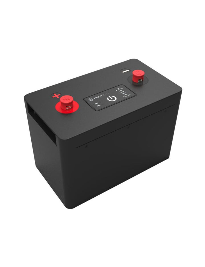 Pylontech RV12100 Batterie